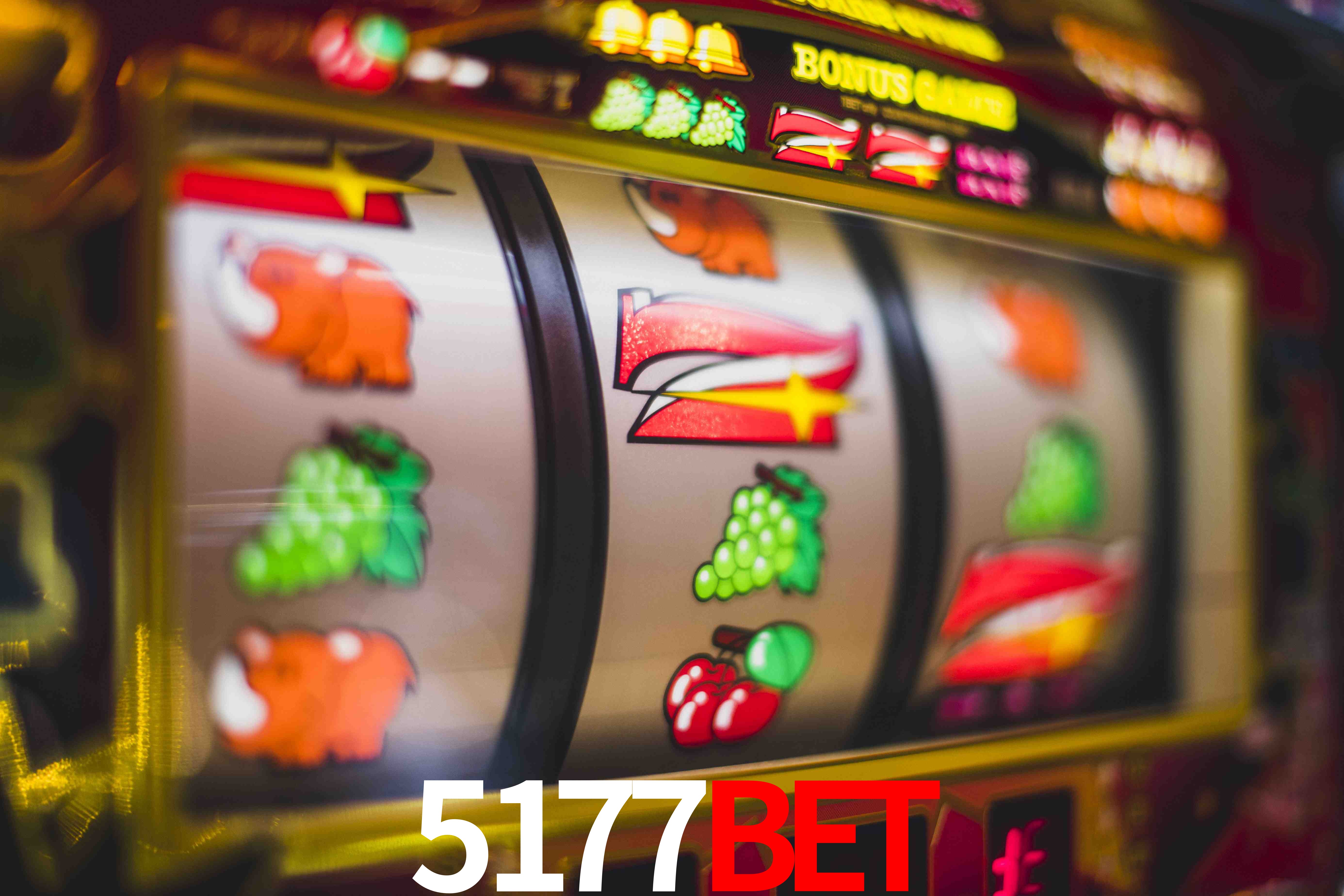 Crash Games Statistics 5177bet
